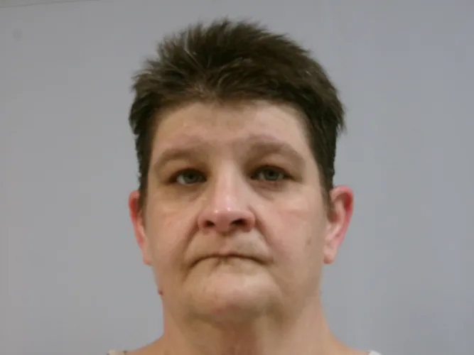 Elkins woman allegedly struck car on purpose